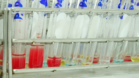 Blood group testing in lab. Stock Footage 85826271