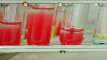 Blood group testing in lab. Stock Footage 85826292