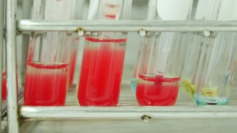 Blood group testing in lab. Stock Footage 85826302