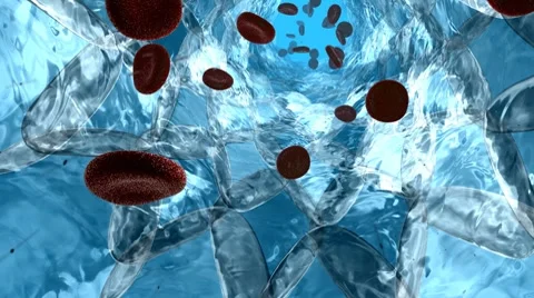 Blood (HD) Stock Footage 7698023