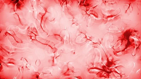 Blood inside body in microscopic scale Stock Footage 91673526