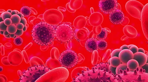 Blood. Inside human vein or arterie. Virus Video stock 59529246