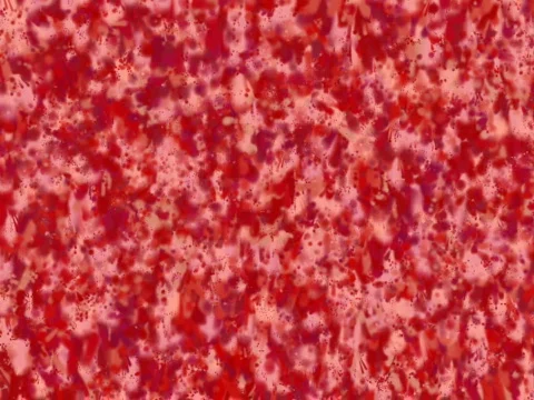 Blood liquid background  Stock Footage 371192