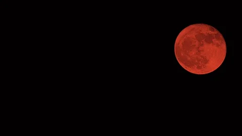 Blood Moon on a Black Night Stock Footage