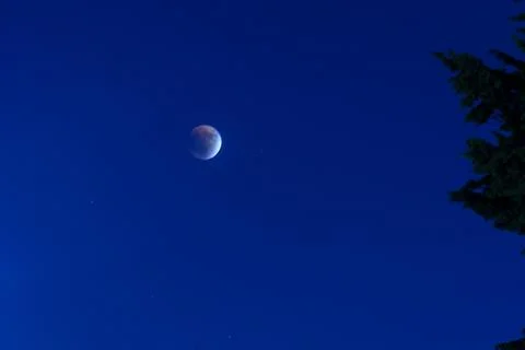 Blood moon during a full eclipse Fotos Stock