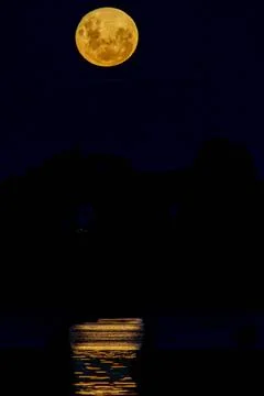 Blood moon during rising before eclipse on black background in vertical com.. Stock Photos