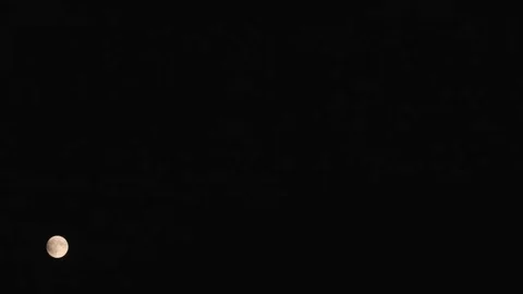 Blood Moon Eclipse part 1 Video stock 80132620