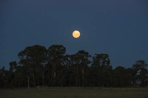 Blood moon, eclipse seen from, La Pampa,January 21, 2019   Argentina Fotos Stock