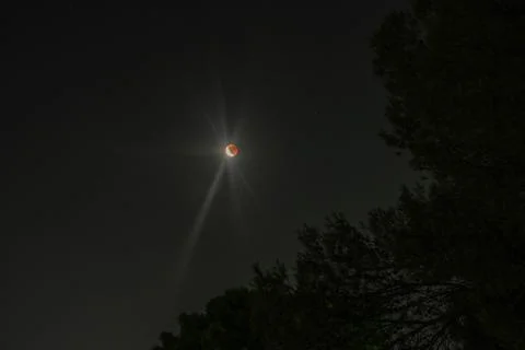 Blood Moon Eclipss Stock Photos