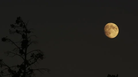 Blood Moon 스톡 동영상 42823301