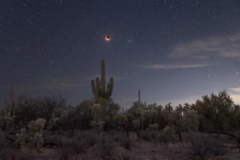 Blood Moon Stock Photos