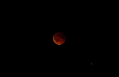 Blood Moon Stock Photos