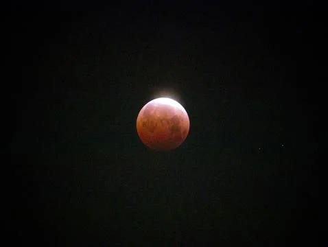 Blood Moon Stock Photos
