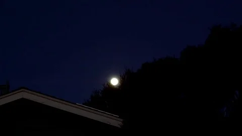 Blood Moon Rising Stock Footage 103188380