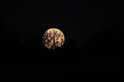 Blood Moon total lunar eclipse in Tehran, Iran Islamic Republic Of - 07 Sep 2025 Stock Photos