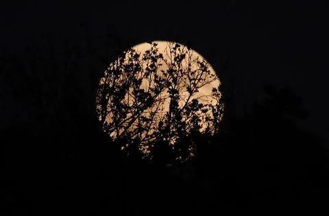 Blood Moon total lunar eclipse in Tehran, Iran Islamic Republic Of - 07 Sep 2025 Stock Photos