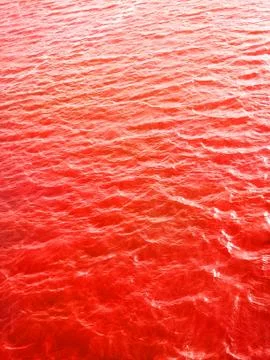 Blood Ocean Stock Illustration