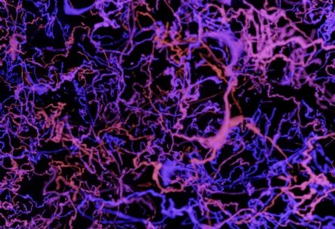 Blood or neuron links system red and blue 3d illustration Stock Illustration