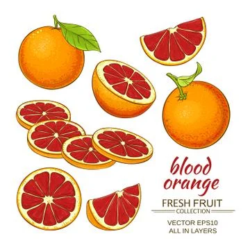 Blood orange fruit Stock Illustration