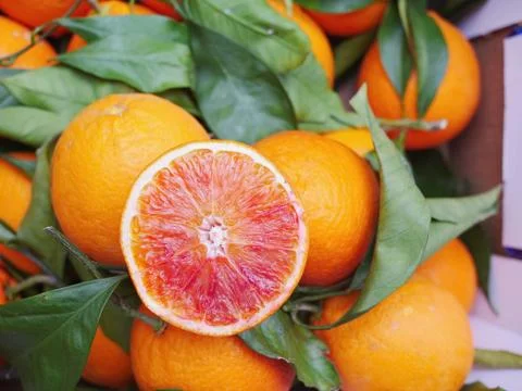 Blood orange leaf Stock Photos