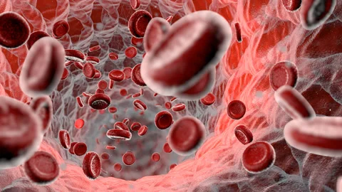 Blood particles Stock Footage 147267805