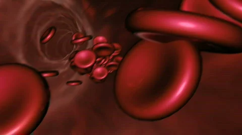 Blood Path HD Stock Footage 772241