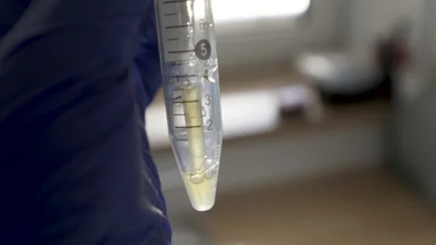 Blood plasma separation in test tubes Stock Footage 228988572