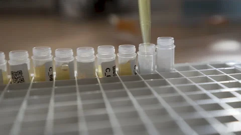 Blood plasma separation in test tubes Stock Footage 228988631