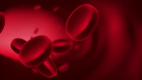 Blood red cell motion background Stock Footage 135653295