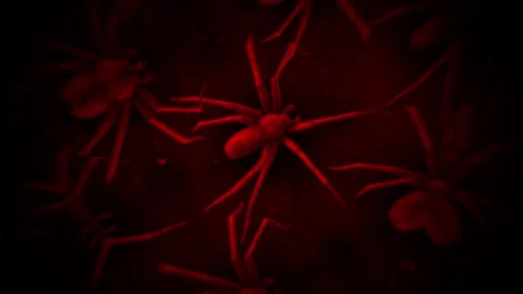 Blood Red Spiders Crawling Stock Footage 264281175