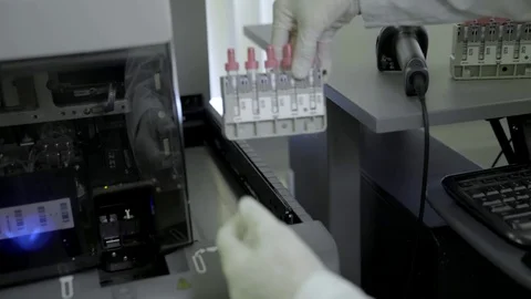 Blood research medicine sorting Stock Footage 70333635