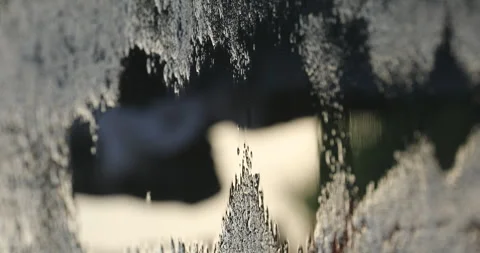 Blood on a Road Stock Footage 324502932