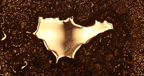 Blood on a Road Stock Footage 324527883