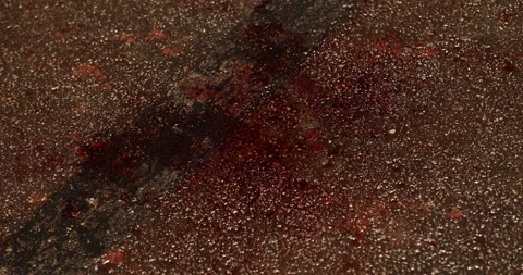 Blood on a Road Stock Footage 324527943