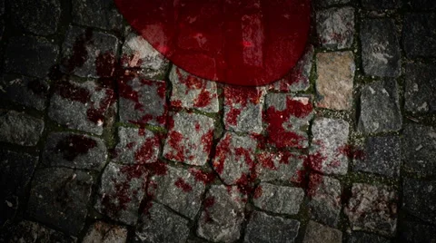 Blood on the rocks Video stock 31378095