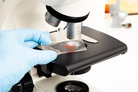 Blood sample, microscope at the medicine and biology laboratory Stock Photos