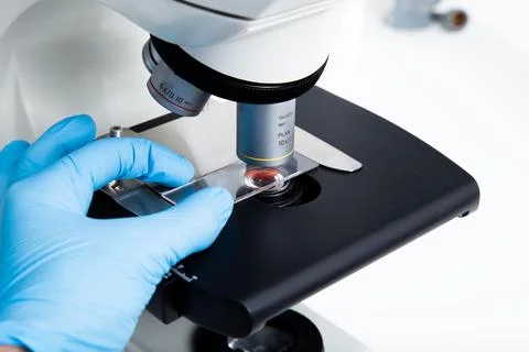 Blood sample, microscope at the medicine and biology laboratory Stock Photos