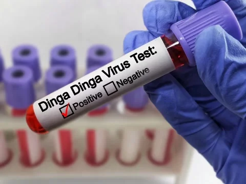 Blood sample of patient positive test for Dinga Dinga virus. Stock Footage 296902877