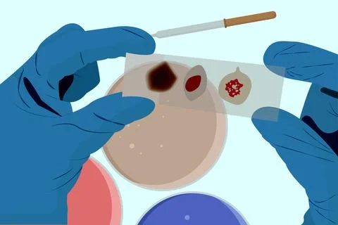 Blood Sample Slide with Lab Tools. Stock Illustration