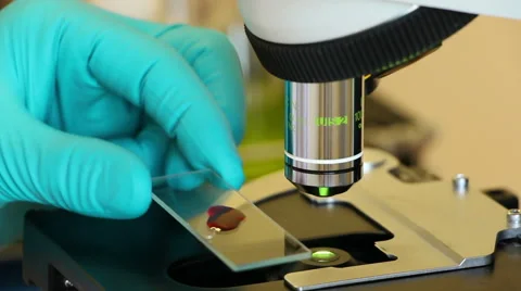 Blood sample studying using microscope closeup Stock Footage 63614048