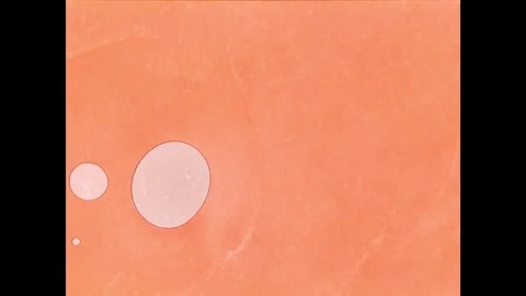 Blood sample with three air bubbles under a microscope Stock Footage 307832303