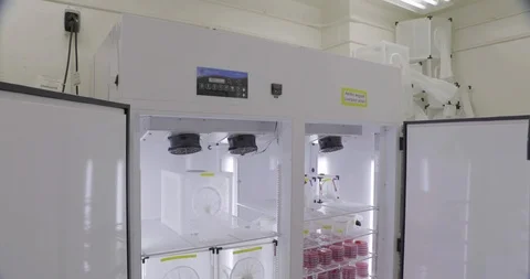 Blood samples for mosquitos stacked in a lab fridge Stock Footage 97612372