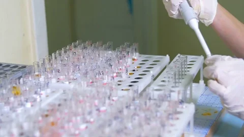 Blood samples in test tubes. Doctor, scientist working with test tubes, medical Stock Footage 70327365