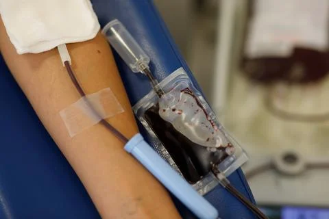 Blood sampling in the laboratory, donation, dressing, Stock Photos