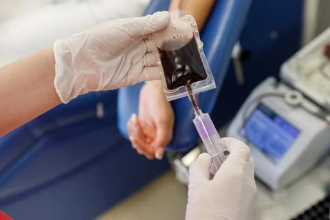 Blood sampling in the laboratory, donation, dressing, Stock Photos