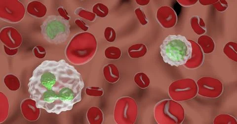 Blood smear Illustrazione stock