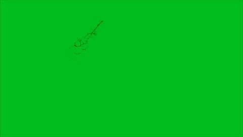 Blood splash  on green screen background Stock Footage 126659248