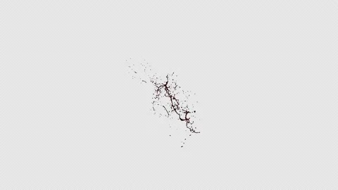 Blood Splash Side Prores with Alpha Stock Footage 151377798