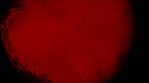 Blood splatter Video stock 47886207
