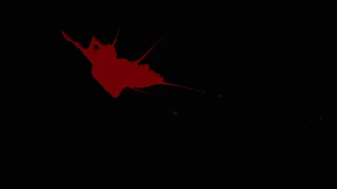 Blood Splatter Stock Footage 130665828